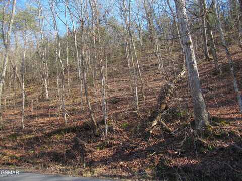 13 Acres Kerr Road, Sevierville, TN 37876