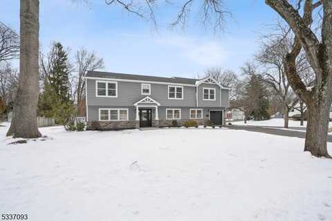 7 Hopping Ln, Florham Park, NJ 07932