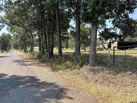 3.35 ACRES tbd COUNTY ROAD 2169, Troup, TX 75789