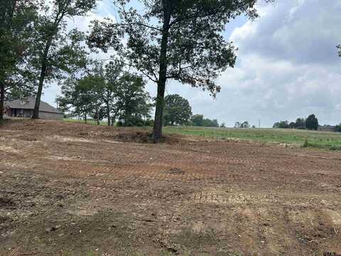 3.35 ACRES tbd COUNTY ROAD 2169, Troup, TX 75789