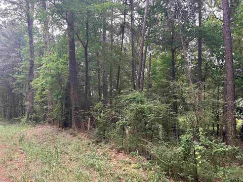 LOT 9 5+ ACRES FM 15, Troup, TX 75789