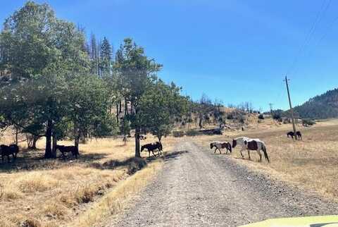 10001 Ruth-Zenia Road, Hettenshaw, CA 95511