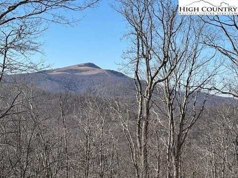 Tbd Tower Road, Newland, NC 28657