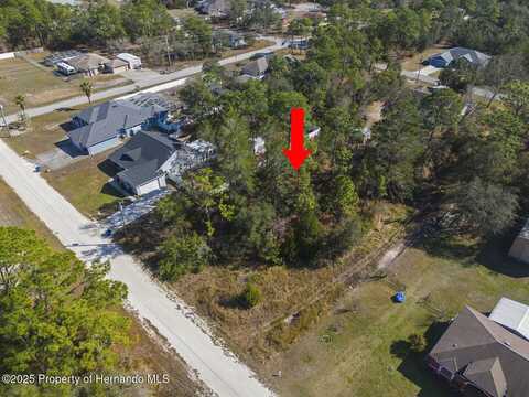Day Owl Avenue, Weeki Wachee, FL 34613