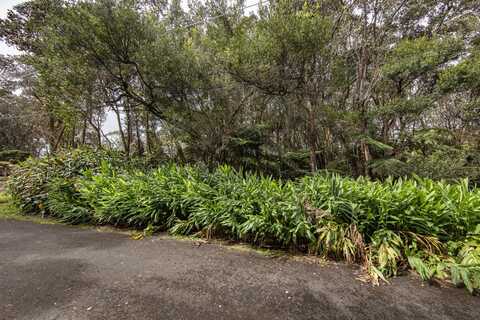 11-3906 4TH ST, VOLCANO, HI 96785