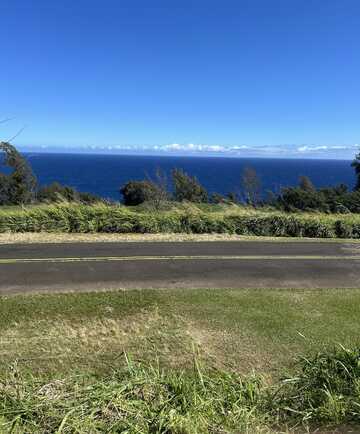 39-3195 OLD MAMALAHOA HIGHWAY, Ookala, HI 96774