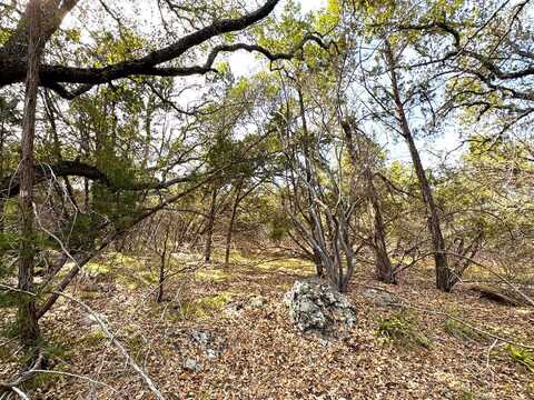 K1004 Bald Eagle, Horseshoe Bay, TX 78657