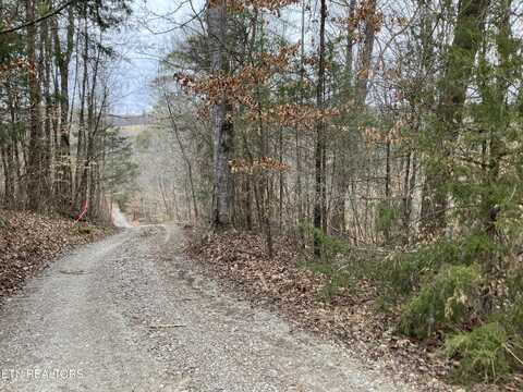 Lone Mountain Rd, New Tazewell, TN 37825