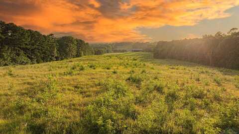 1234 Firetower Rd, Hallsville, TX 75650