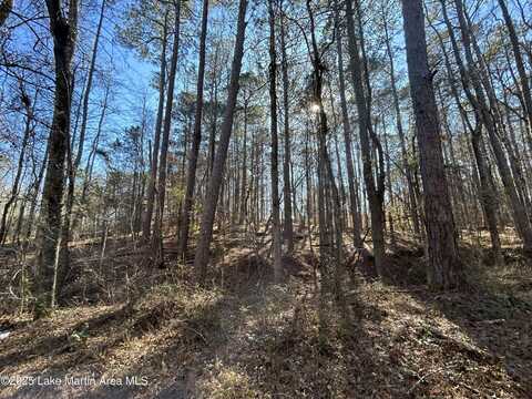 N Forty lot: 3, Alexander City, AL 35010