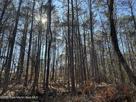 Lot 2 North Forty, Alexander City, AL 35010