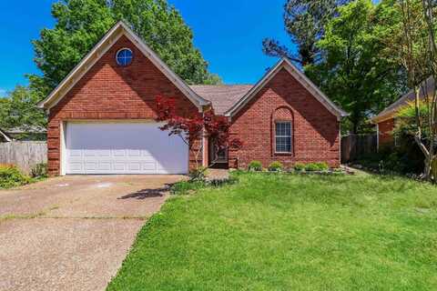 3054 BRANDON WAY, Lakeland, TN 38002