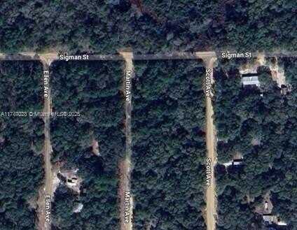 0 MARTIN AVE, Other City - In The State Of Florida, FL 32148