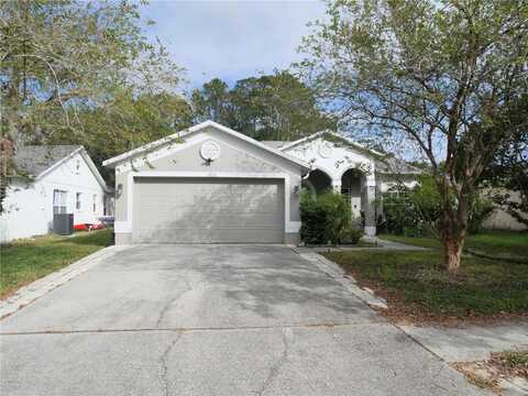 13112 ROYAL GEORGE AVENUE, ODESSA, FL 33556