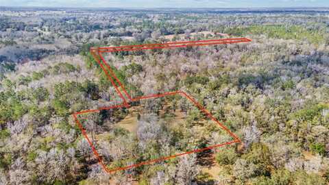 Tbd NW 193RD STREET, MICANOPY, FL 32667