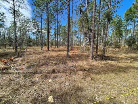133RD AVE SE, DUNNELLON, FL 34431