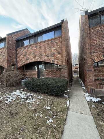 810 S May Avenue, Chicago, IL 60607