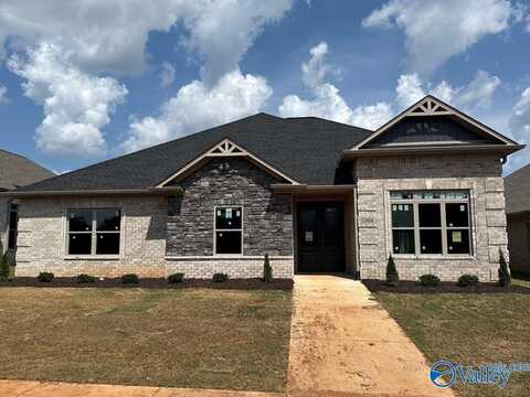 68 Lot Narayan Street, Madison, AL 35756