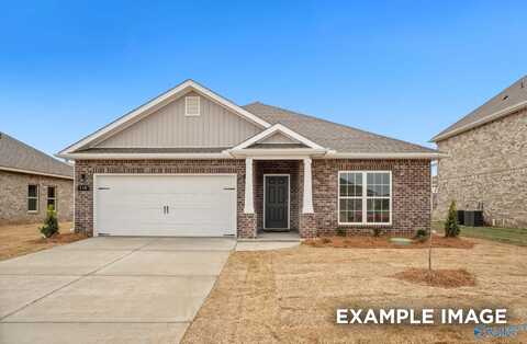 149 River Springs Court, New Market, AL 35761