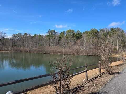 Lot 78 Natures Courtyard, Mineral Bluff, GA 30559