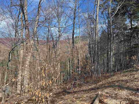 2-47 East Ash Road, Plymouth, VT 05056