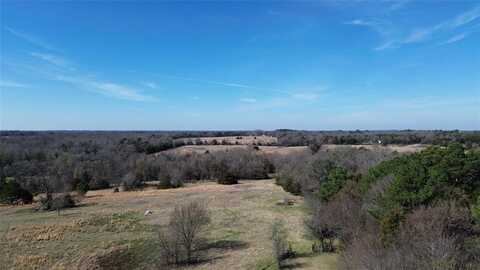 Lot 3 Rains CR1140 Road, Emory, TX 75440