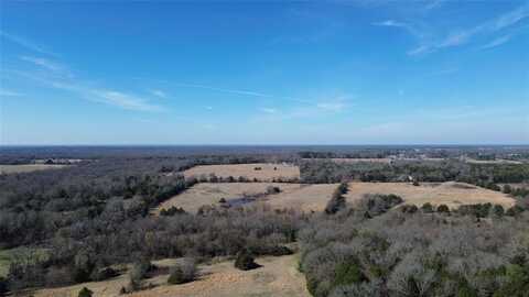 Lot 5 Rains CR1140 Road, Emory, TX 75440