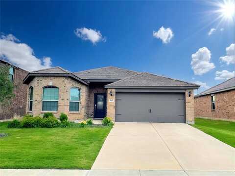 207 Lake Ridge, Princeton, TX 75407