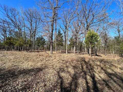 Tbd County Road 3376(Lot 67), Emory, TX 75440