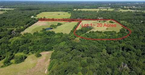 Lot 1 Rains CR1140 Road, Emory, TX 75440