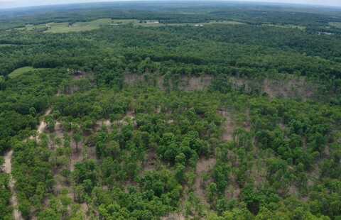 TBD Hwy 7, Roach, MO 65787