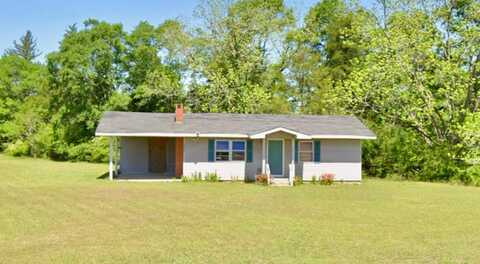 6267 Coffee Springs Rd, Coffee Springs, AL 36318