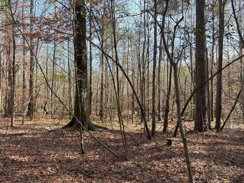 TBD Girlinghouse Rd., Jena, LA 71342