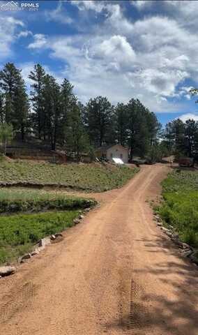 1304 Kiowa Road, Florissant, CO 80816