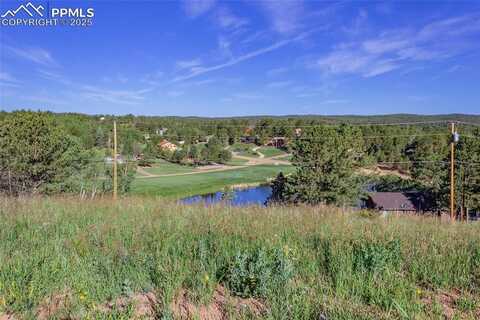 288 Piney Point Lane, Woodland Park, CO 80863