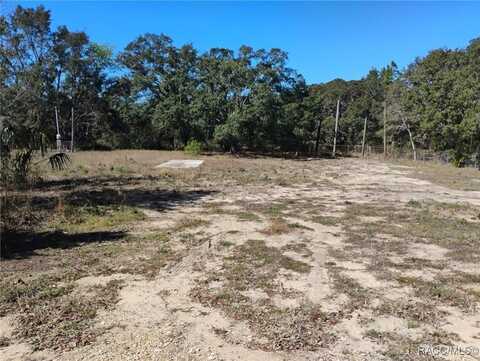 2266 S Seiler Point, Lecanto, FL 34461