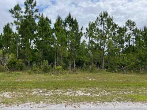 103 Torrey Pine Trl, Wewahitchka, FL 32465