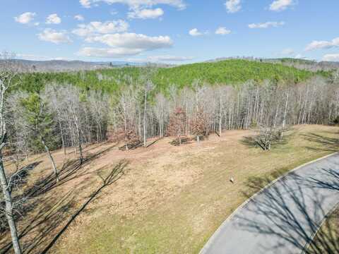 153 Hidden Forest Trail, Spring City, TN 37381