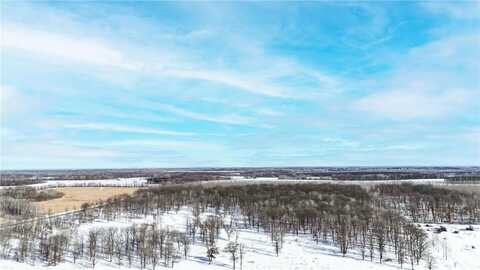 41acres Red Oak Road, Staples, MN 56479