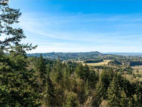 NE Cedar Creek RD, Woodland, WA 98674