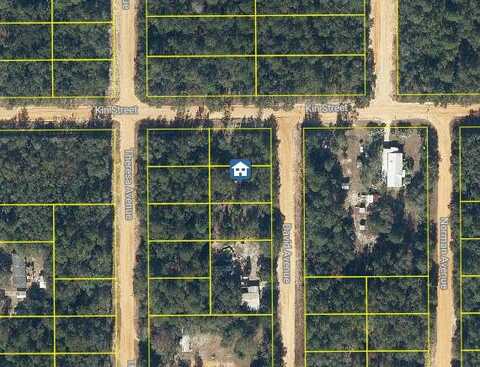 Lot 30 David Avenue, Interlachen, FL 32148