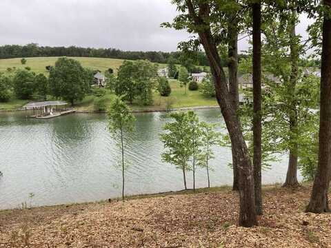 789 Compass Cove CIR, Moneta, VA 24121