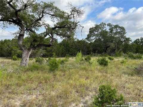 1134 Madrone Road, Fischer, TX 78623