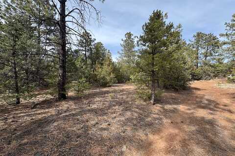 0 Jose Gonzales Road, Pecos, NM 87552