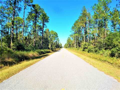 10210 Light Ave 100% Uplands, Hastings, FL 32145