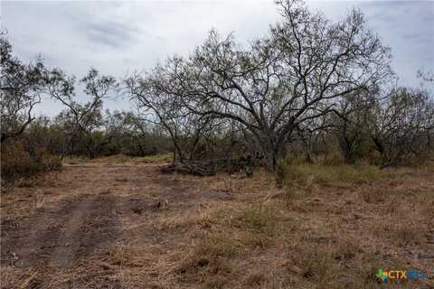 Tbd McCampbell - Tract F, Goliad, TX 77963