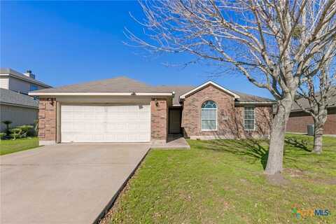 1609 Paint Brush Drive, Lockhart, TX 78644