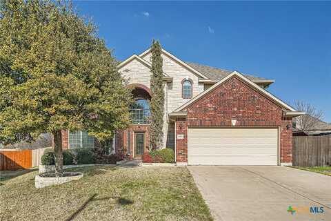 1003 Preserve Place, Round Rock, TX 78665