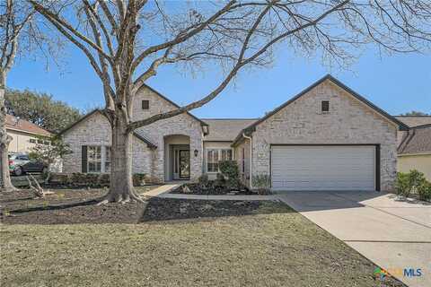 102 Blue Sky Court, Georgetown, TX 78633