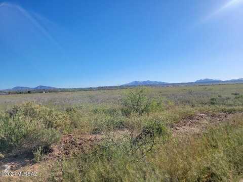 39.85 Ac N Pomerene Road, Benson, AZ 85602